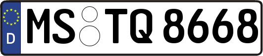 MS-TQ8668