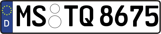 MS-TQ8675