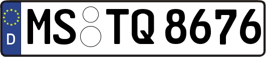 MS-TQ8676