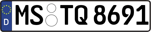 MS-TQ8691