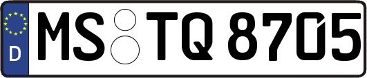 MS-TQ8705