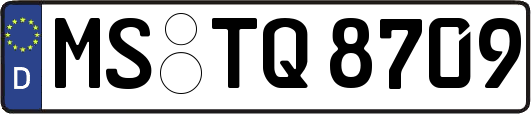 MS-TQ8709