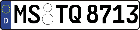 MS-TQ8713