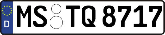 MS-TQ8717