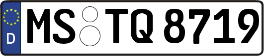 MS-TQ8719