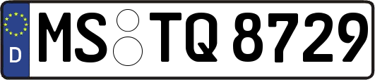 MS-TQ8729