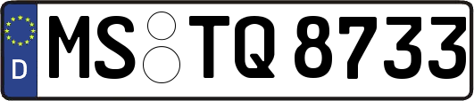 MS-TQ8733