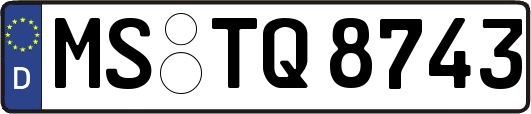 MS-TQ8743
