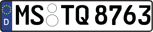 MS-TQ8763
