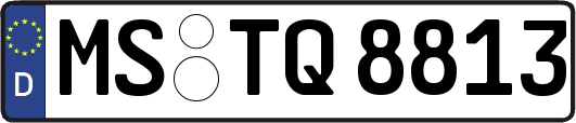 MS-TQ8813