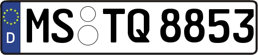 MS-TQ8853