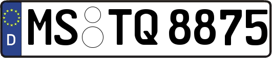 MS-TQ8875