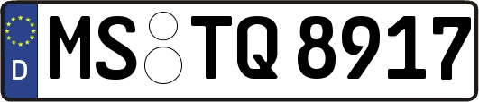MS-TQ8917