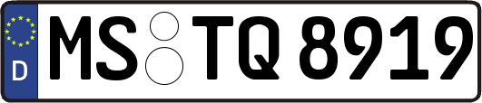 MS-TQ8919