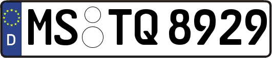 MS-TQ8929