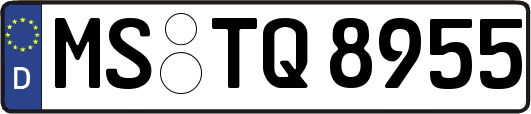 MS-TQ8955