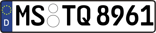MS-TQ8961