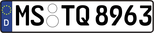 MS-TQ8963