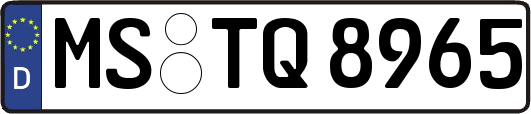 MS-TQ8965
