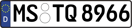 MS-TQ8966