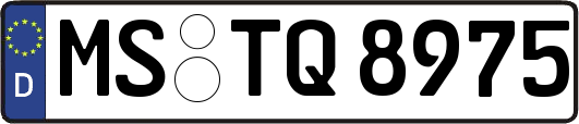 MS-TQ8975