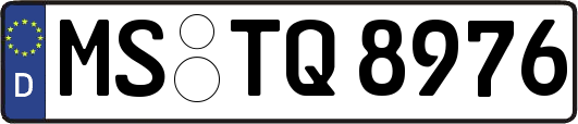 MS-TQ8976