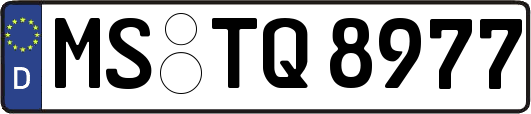 MS-TQ8977