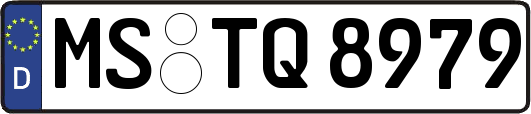 MS-TQ8979