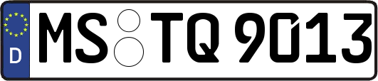 MS-TQ9013