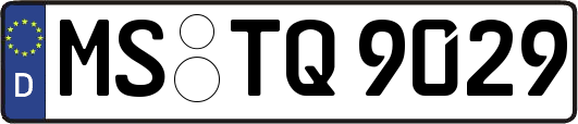 MS-TQ9029