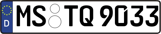 MS-TQ9033