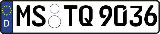 MS-TQ9036