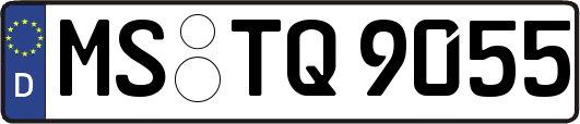 MS-TQ9055