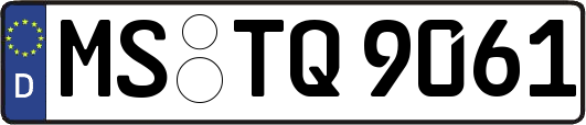 MS-TQ9061