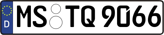 MS-TQ9066