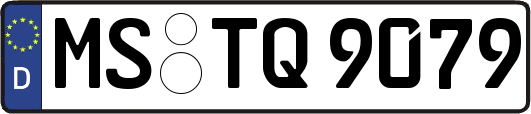 MS-TQ9079