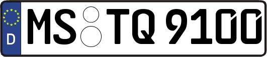 MS-TQ9100
