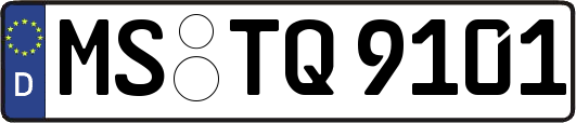 MS-TQ9101