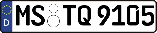 MS-TQ9105