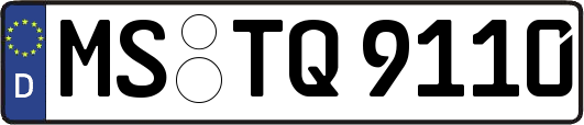 MS-TQ9110