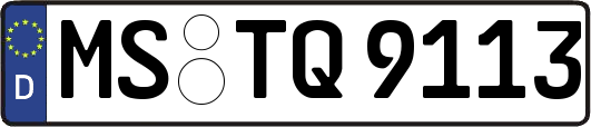 MS-TQ9113