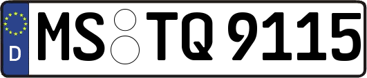 MS-TQ9115