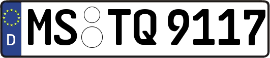MS-TQ9117