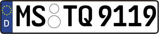 MS-TQ9119