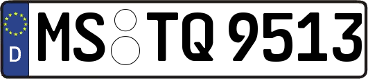 MS-TQ9513