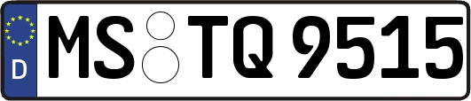 MS-TQ9515