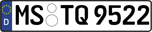 MS-TQ9522
