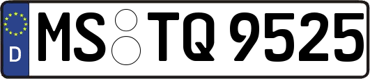 MS-TQ9525