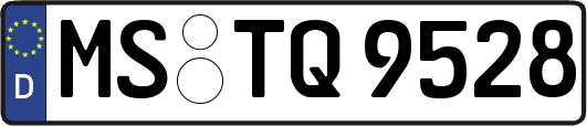 MS-TQ9528