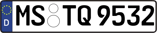 MS-TQ9532